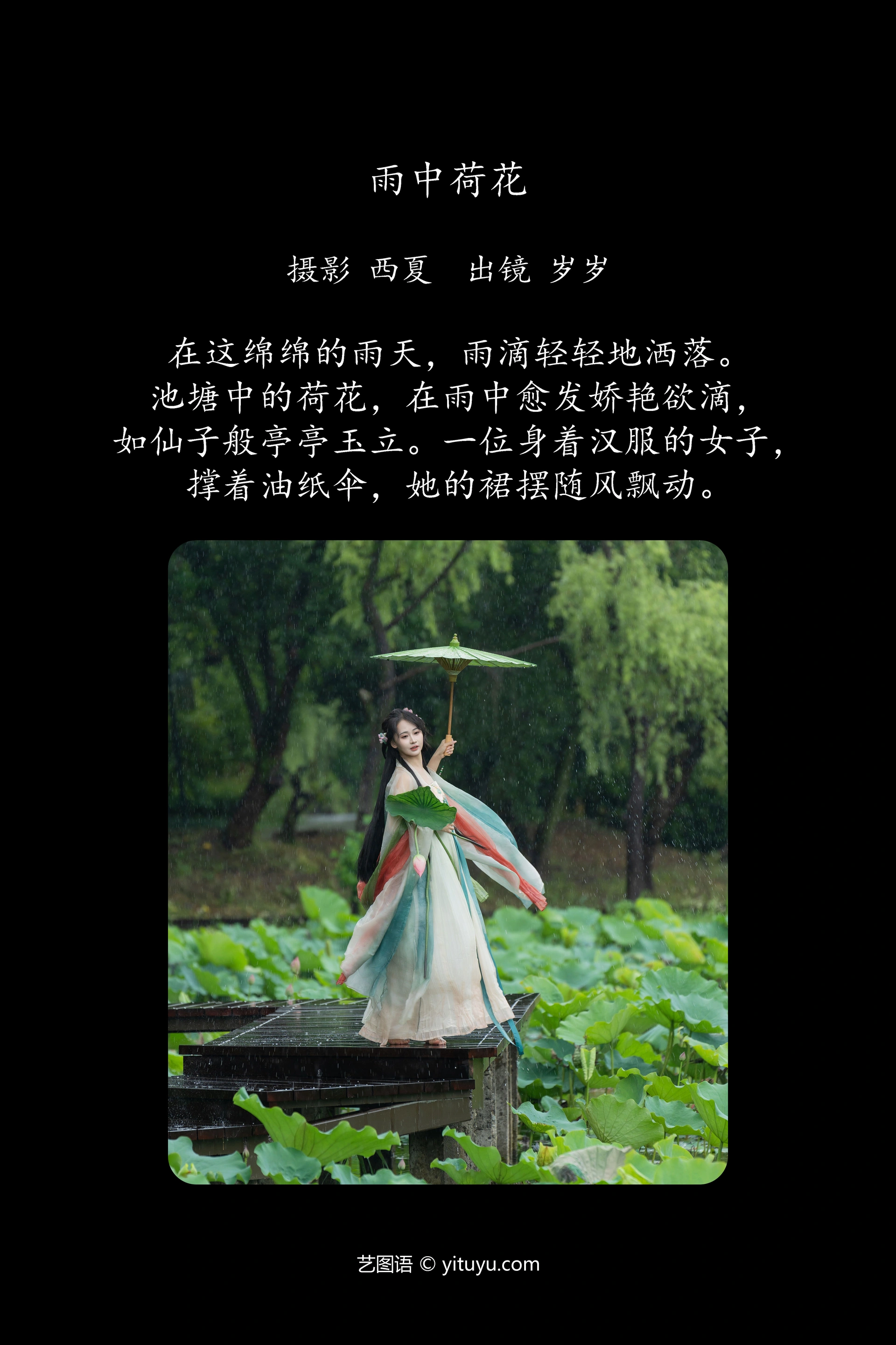 [YITUYU艺图语]2024.08.16 雨中荷花 湫一只岁岁 0